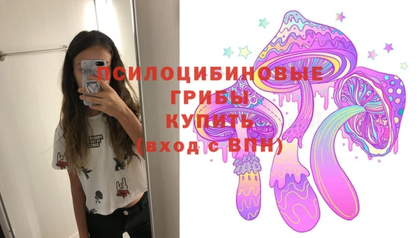 прущие крисы Новодвинск