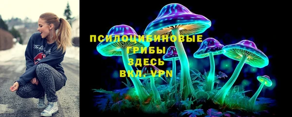 прущие крисы Новодвинск